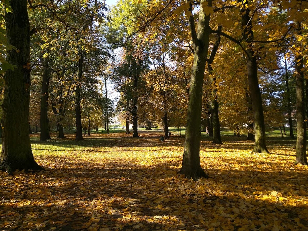 Park im. Anny i Erazma Jerzmanowskich, Kraków