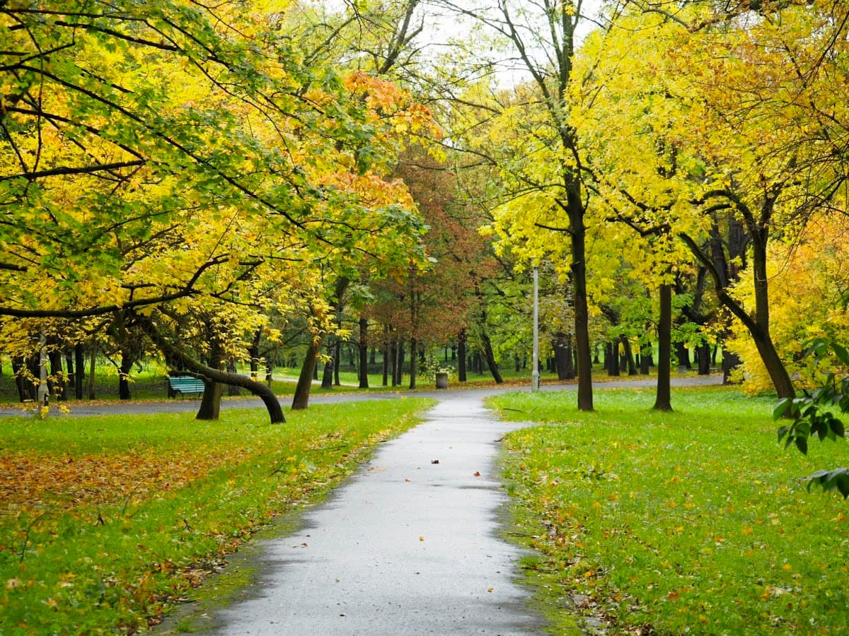 Park Lotników Polskich, Kraków