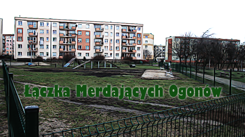 Łączka Merdających Ogonów, Gdynia