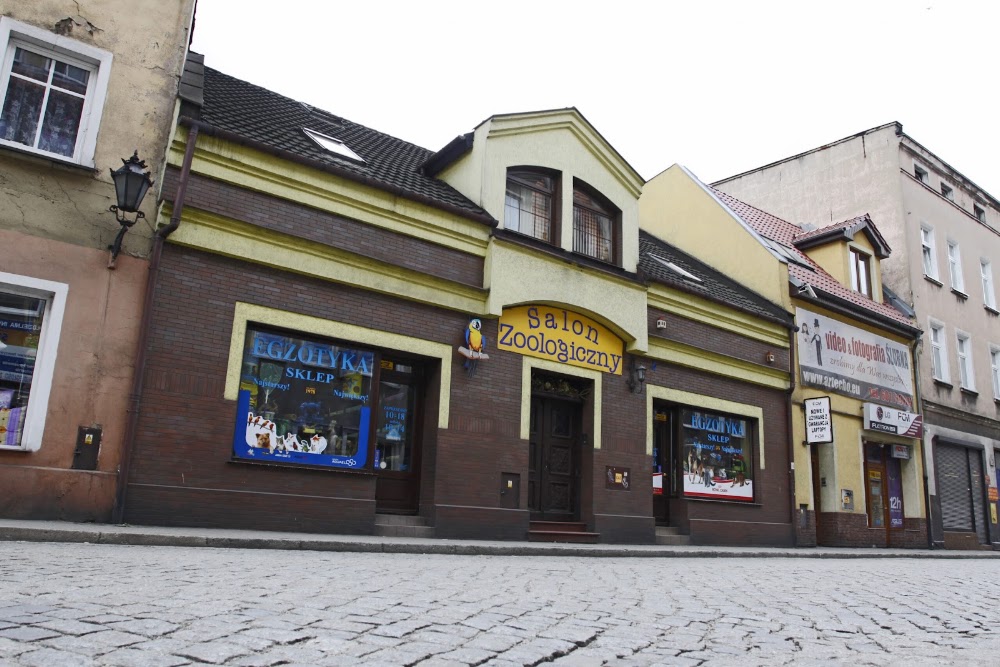 Egzotyka, sklep zoologiczny, Leszno