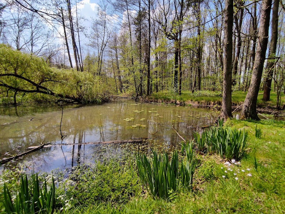 Katowicki Park Leśny, Katowice