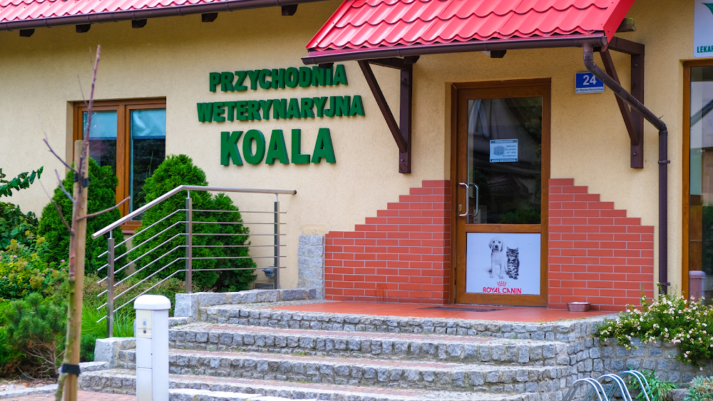 Lecznica Koala, Leszno