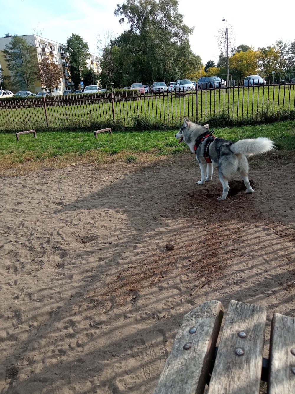 Park dla psów, Toruń