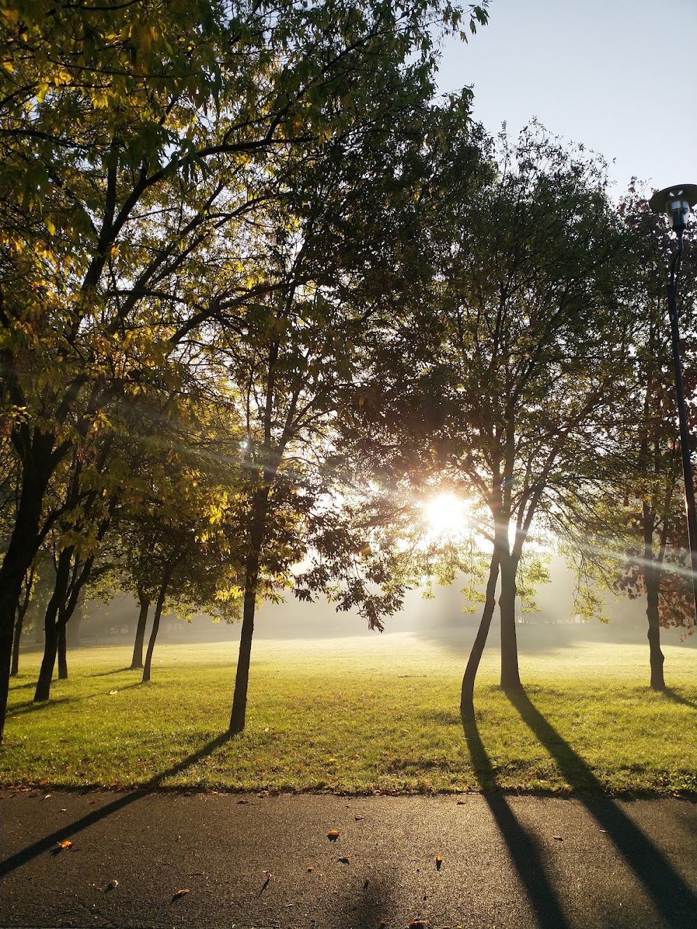 Park im. Św. Jana Pawła II, Poznań