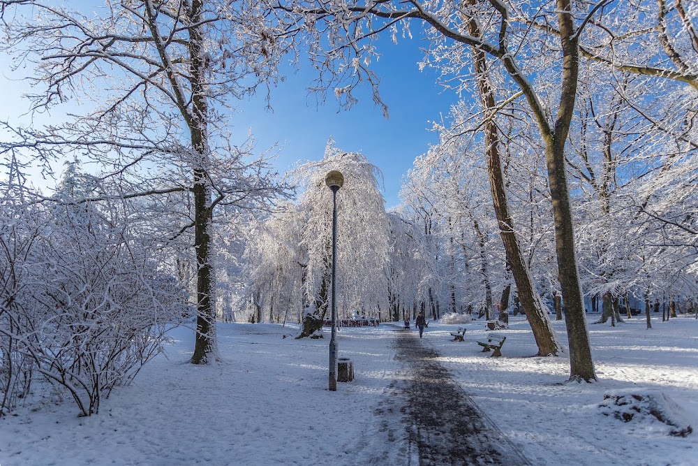 Park Piastowski, Zielona Góra