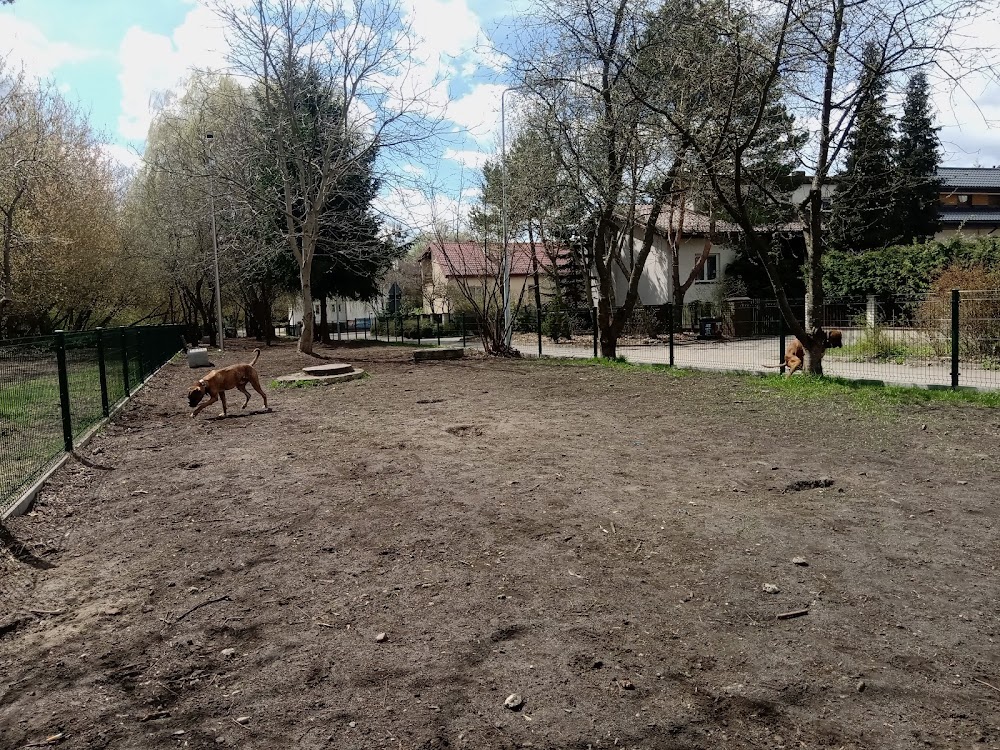 Psia Łączka, Białystok