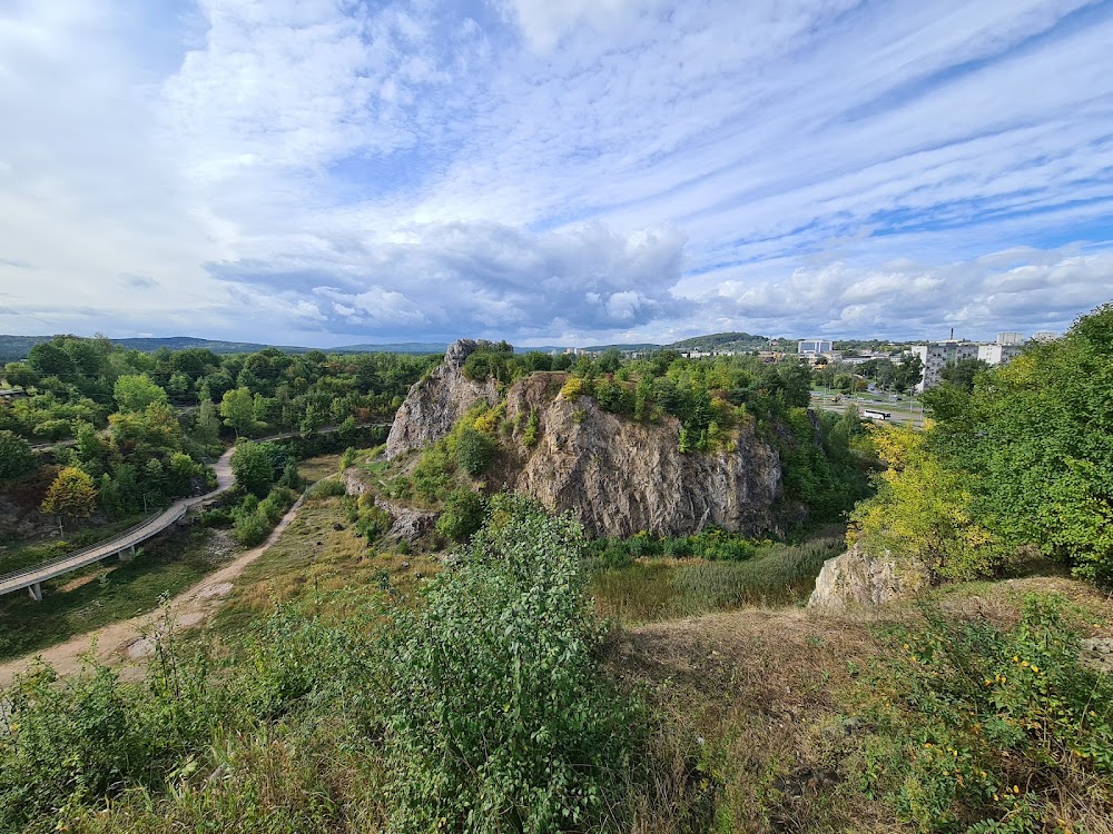Rezerwat przyrody Kadzielnia, Kielce