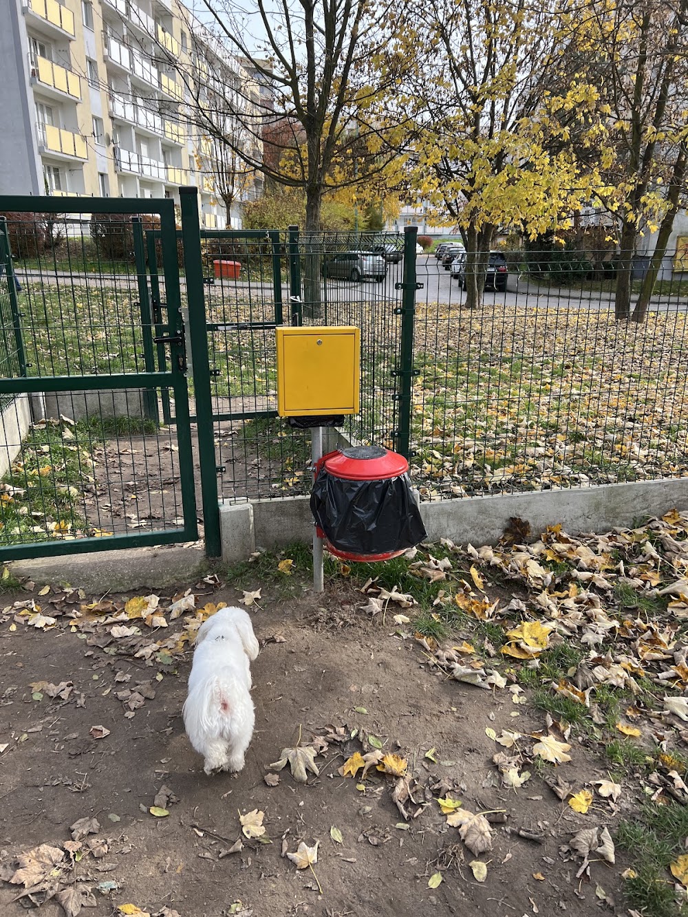 Wybieg dla psów w Radomiu, Radom