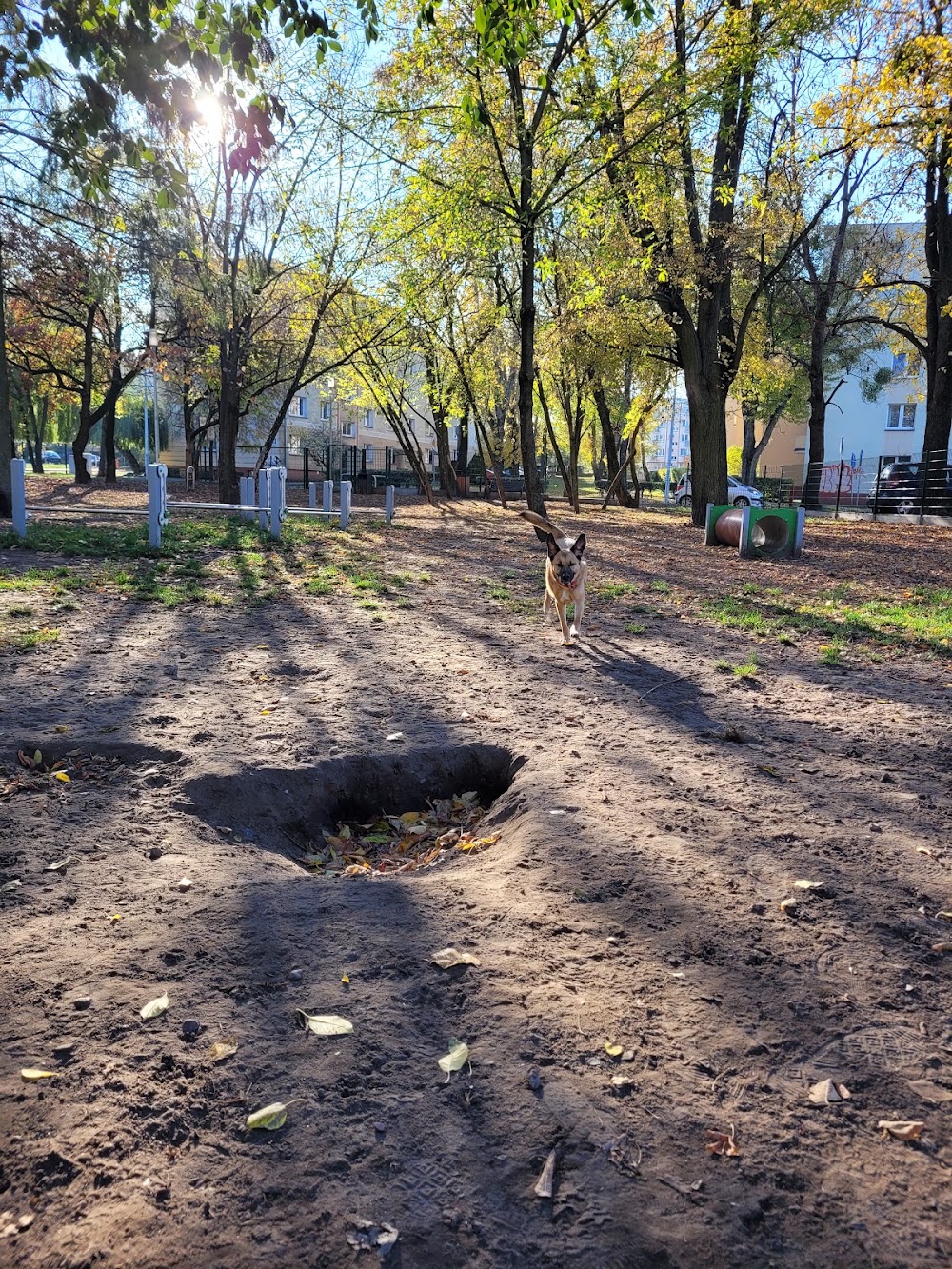 Wybieg dla psów Włókiennicza, Białystok