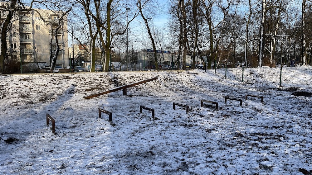 Wybieg dla psów, Toruń